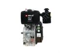 Bolat BD-1100 14Hp Dizel Motor - Görsel 3
